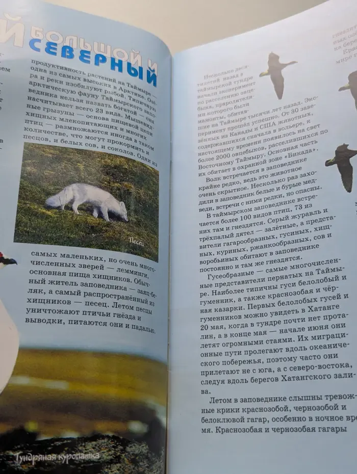 Свирель. Выпуск № 1/2016
