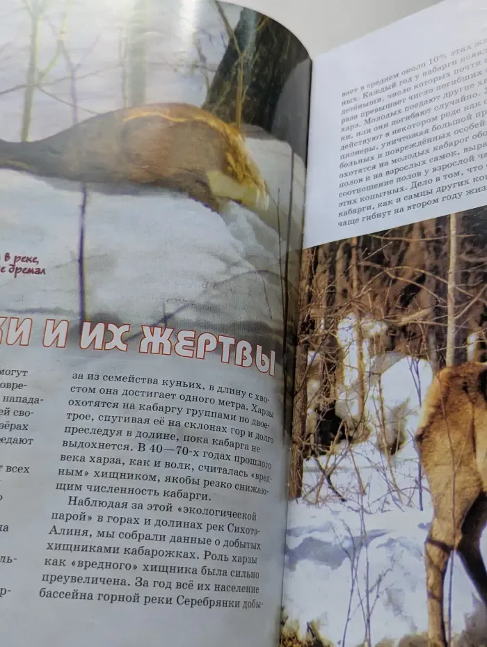 Свирель. Выпуск № 12/2016