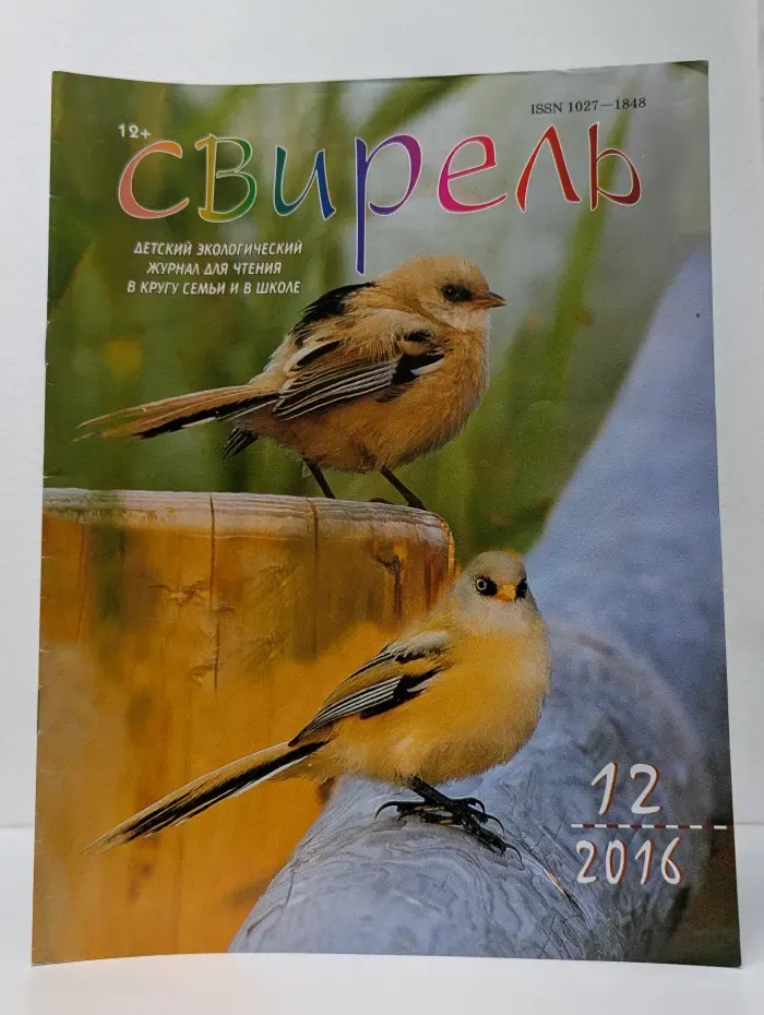Свирель. Выпуск № 12/2016