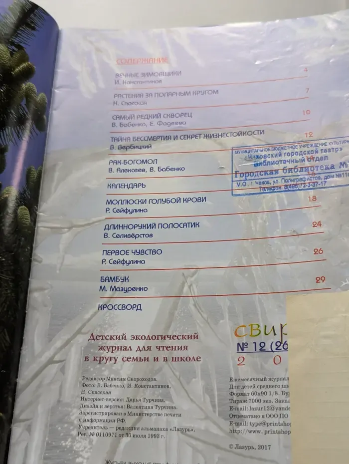 Свирель. Выпуск № 12/2017