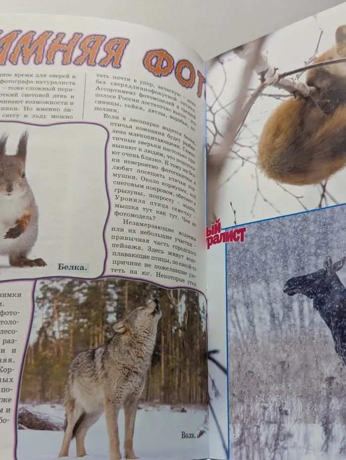 Юный натуралист. Выпуск № 1/2017