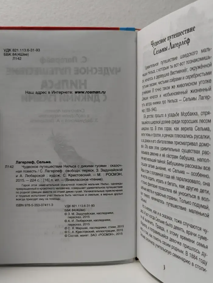 Внеклассное чтение. Чудесное путешествие Нильса с дикими гусями