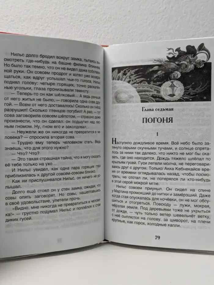Внеклассное чтение. Чудесное путешествие Нильса с дикими гусями