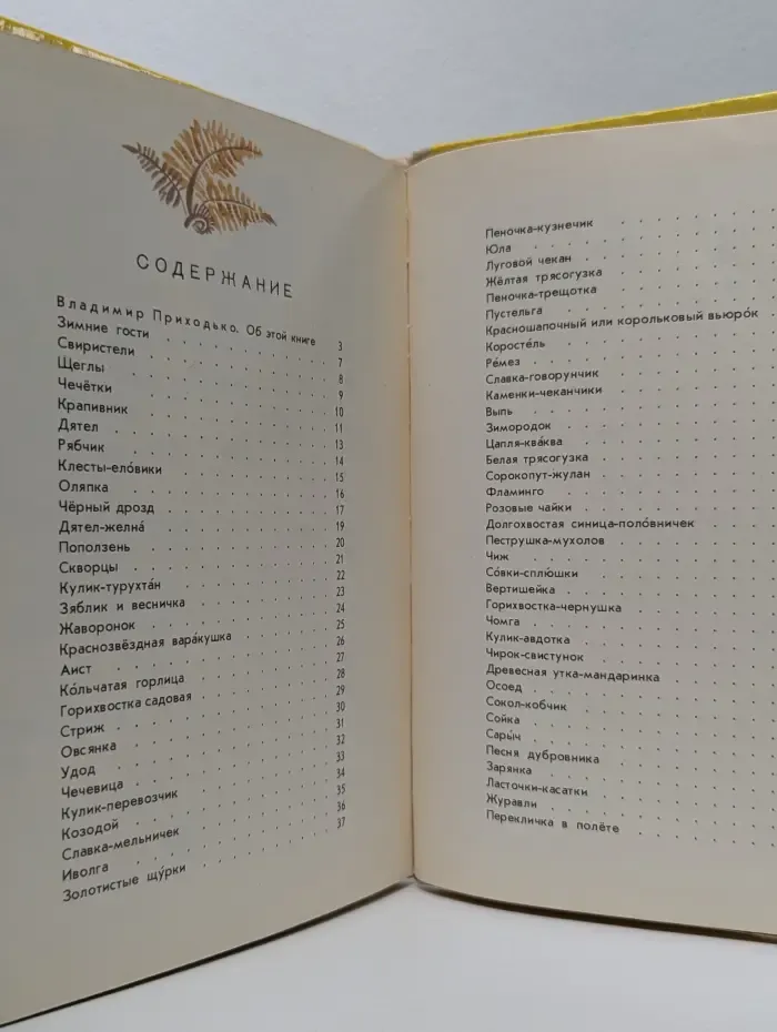 Птичий хоровод