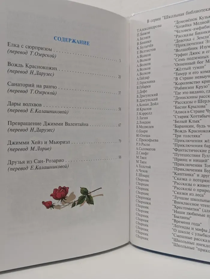 Школьная библиотека. Вождь краснокожих