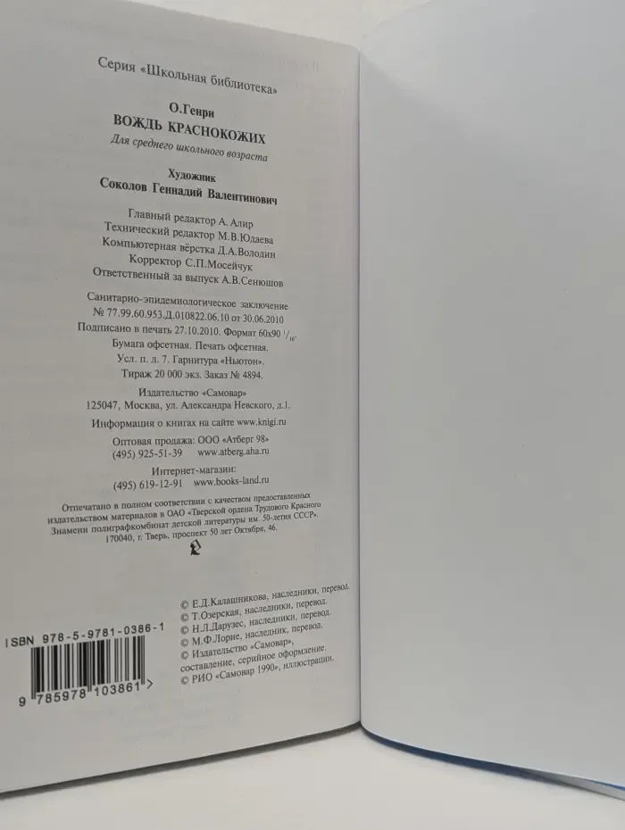 Школьная библиотека. Вождь краснокожих