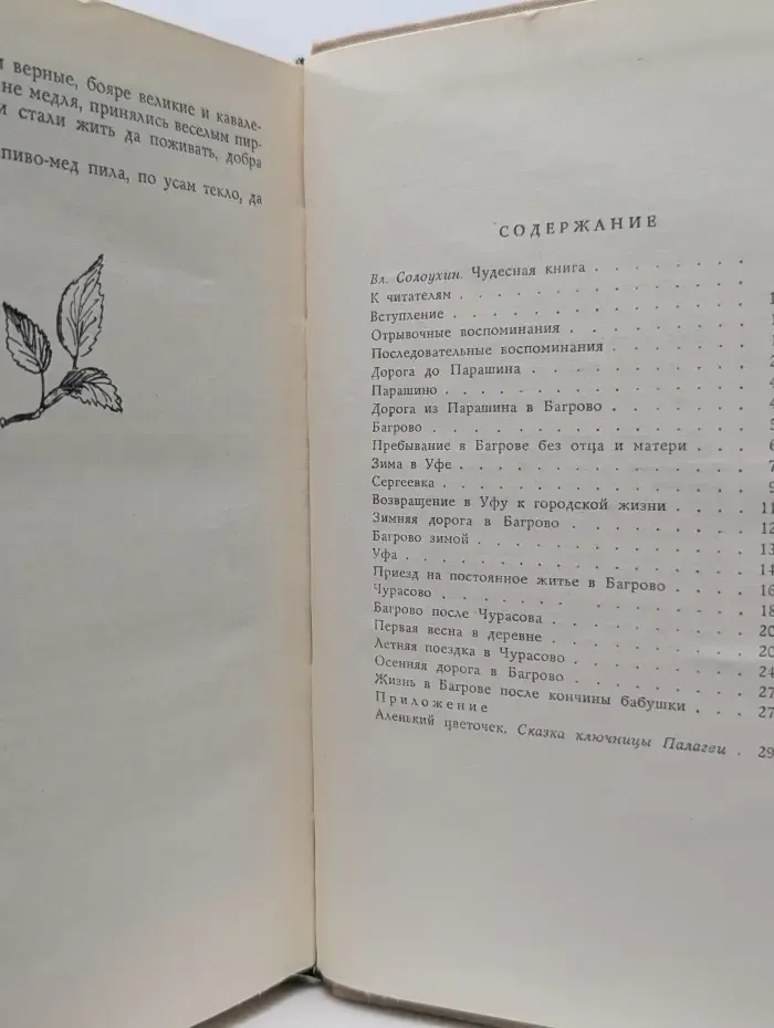 Школьная библиотека. Детские годы Багрова-внука