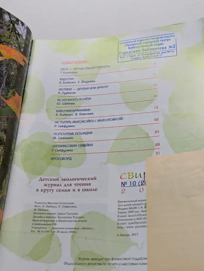 Свирель. Выпуск № 10/2017