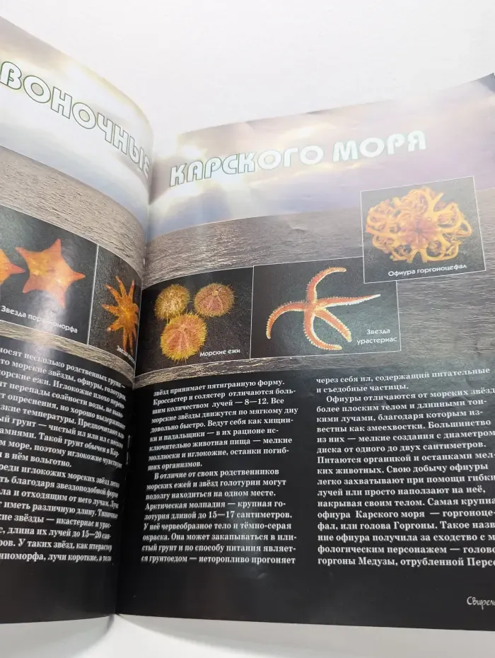 Свирель. Сборник № 7/2015