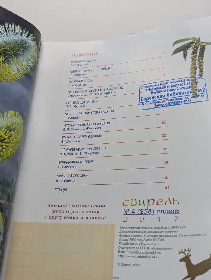 Свирель. Выпуск № 4/2017