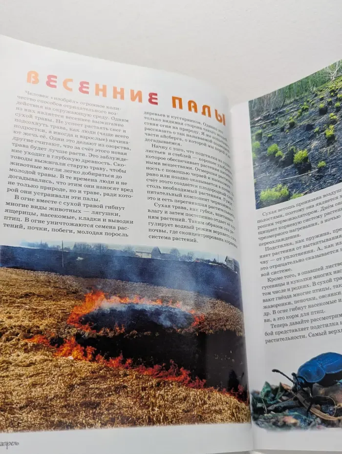 Свирель. Выпуск № 4/2017