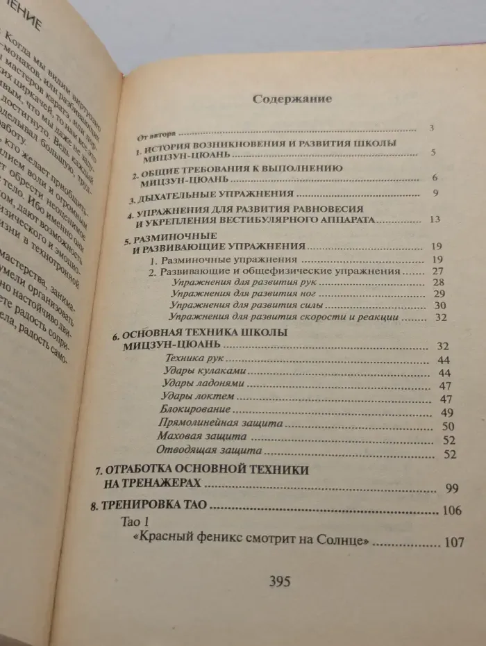 Боевые искусства. Искусство потерянного следа. Ушу Мицзун-цюань
