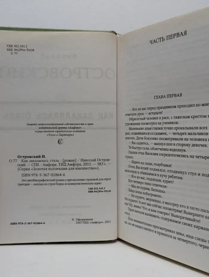 Золотая коллекция для юношества. Как закалялась сталь