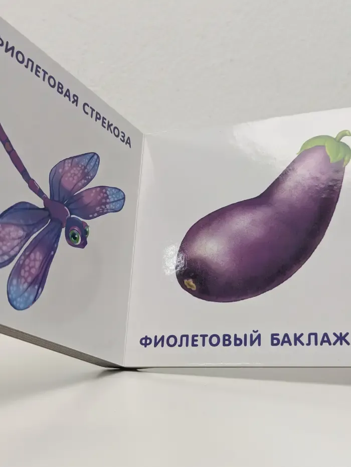 Мои первые цвета