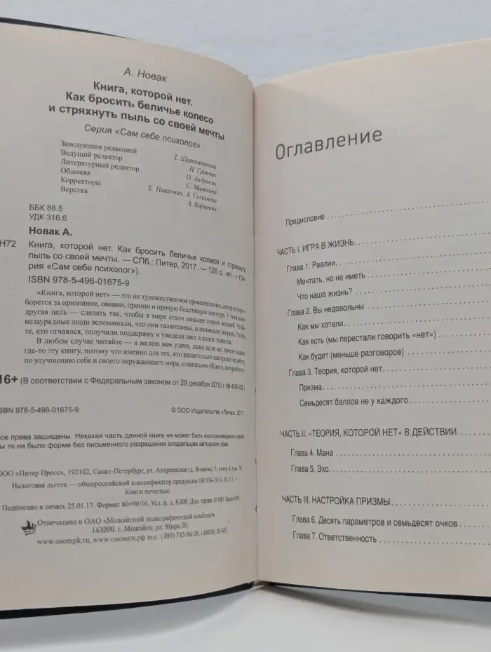 Книга, которой нет. Как бросить беличье колесо и стряхнуть пыль со своей мечты