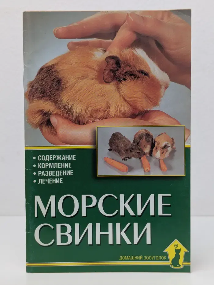 Морские свинки