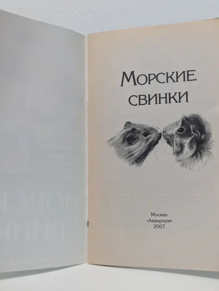 Морские свинки