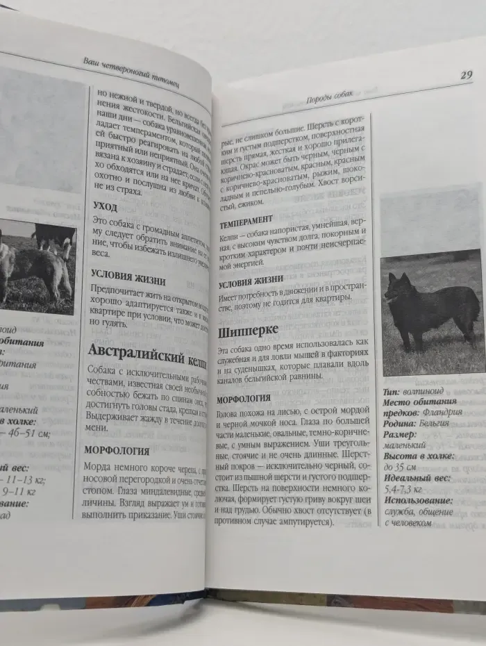 Умелица. Ваш четвероногий питомец