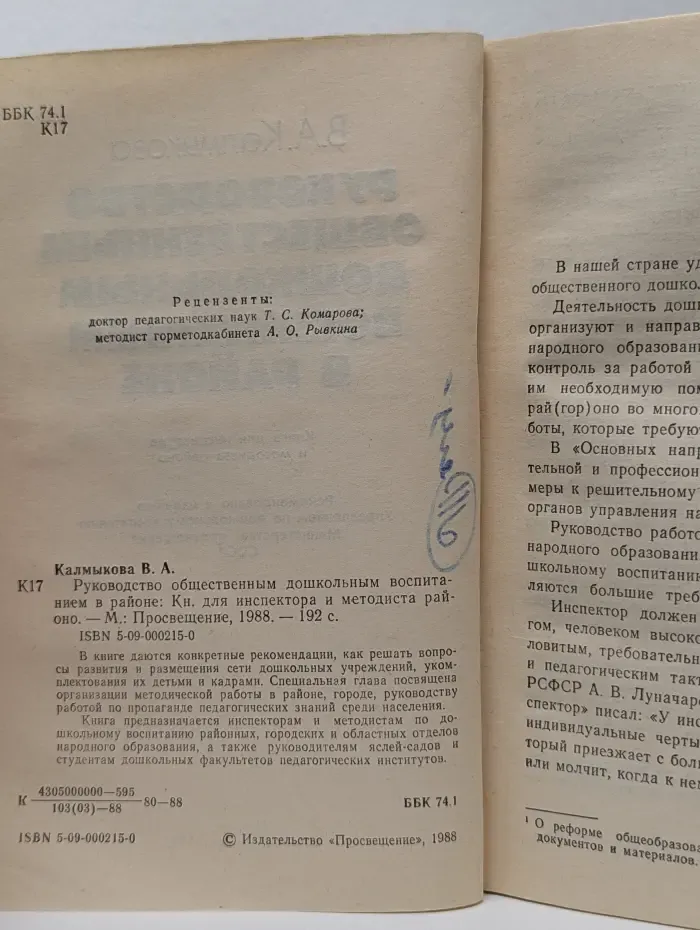 Руководство общественным дошкольным воспитанием в районе
