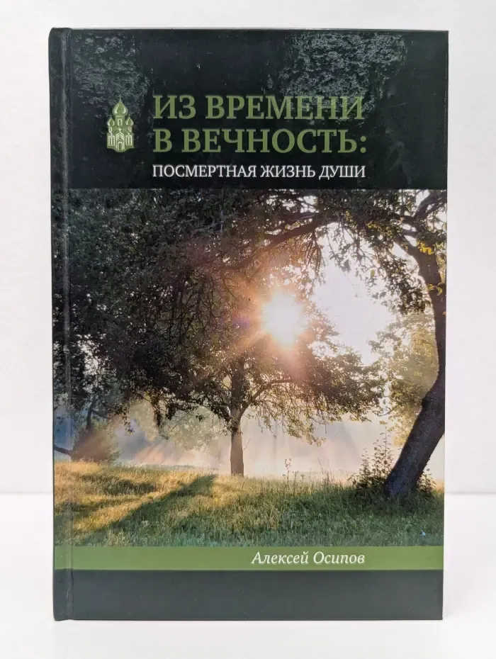 Из времени в вечность. Посмертная жизнь души