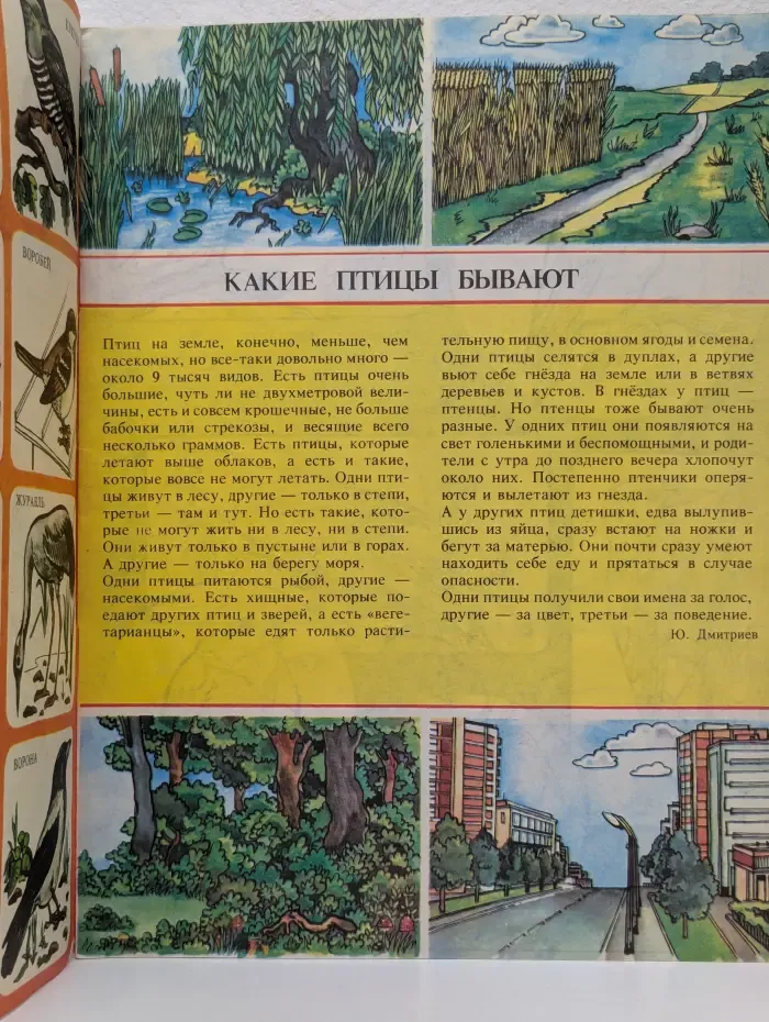 Что ты знаешь о птицах