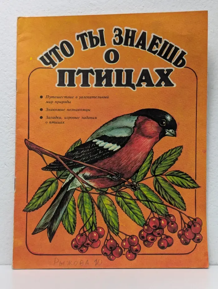 Что ты знаешь о птицах
