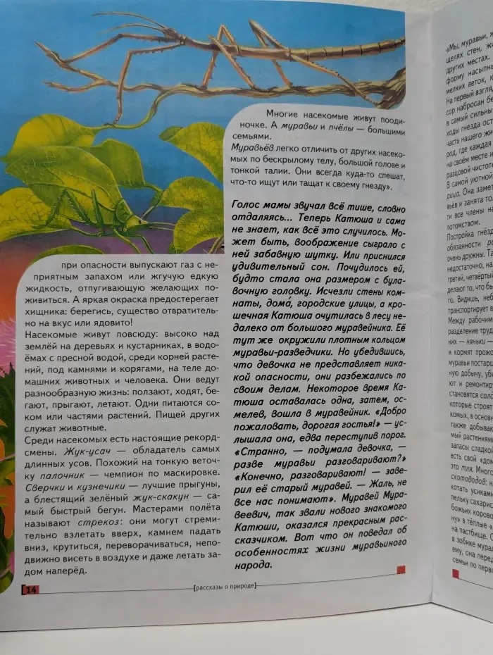 Дошкольник. Младший школьник
