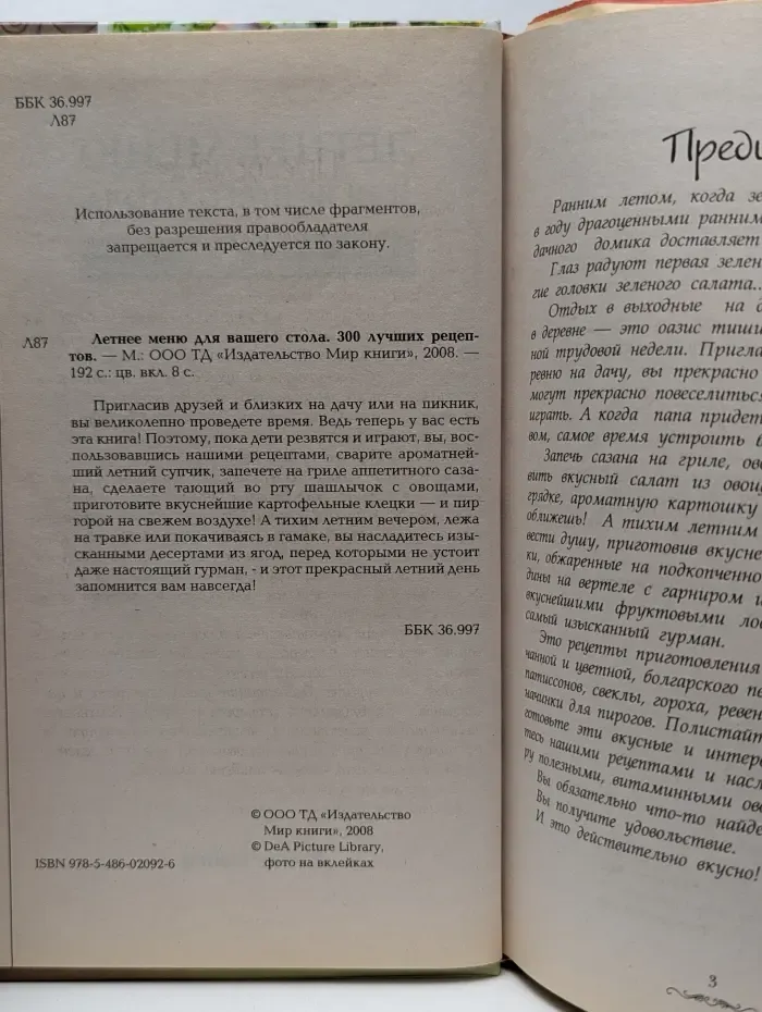 Летнее меню для вашего стола. 300 лучших рецептов