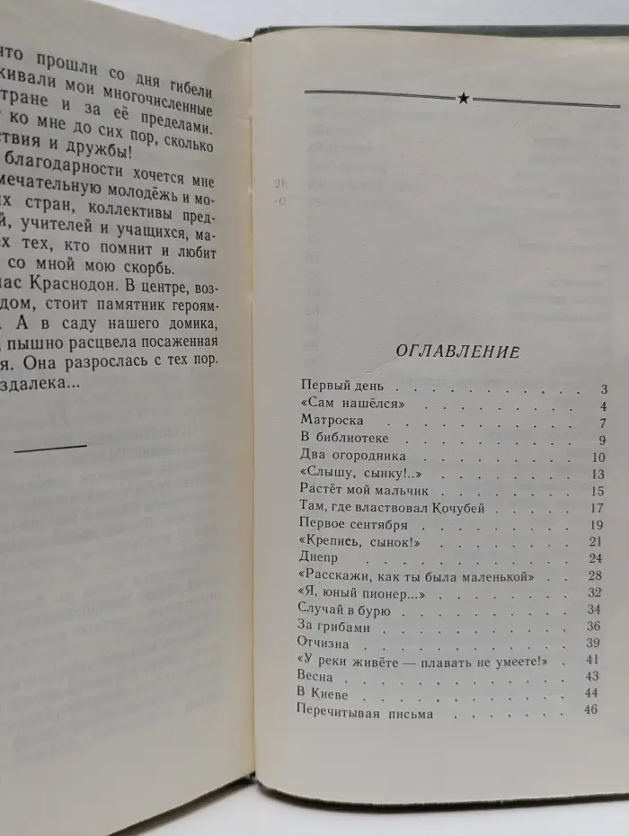 Школьная библиотека. Повесть о сыне