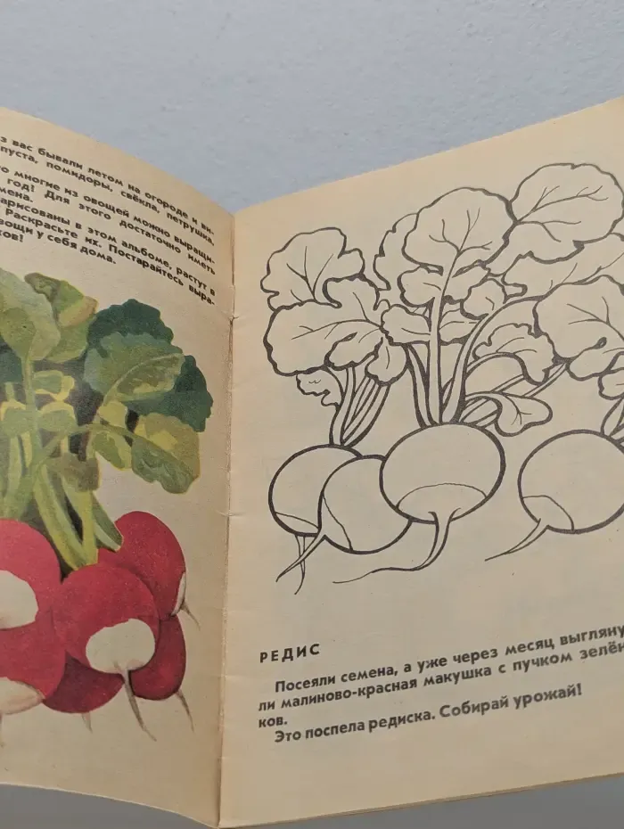 Огород на окне