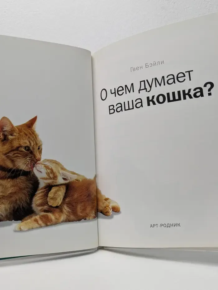 О чем думает ваша кошка? Секреты языка тела домашних животных