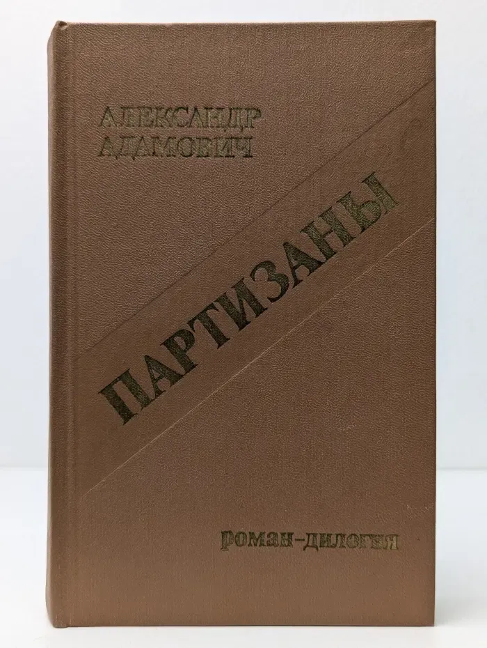 Школьная библиотека. Партизаны