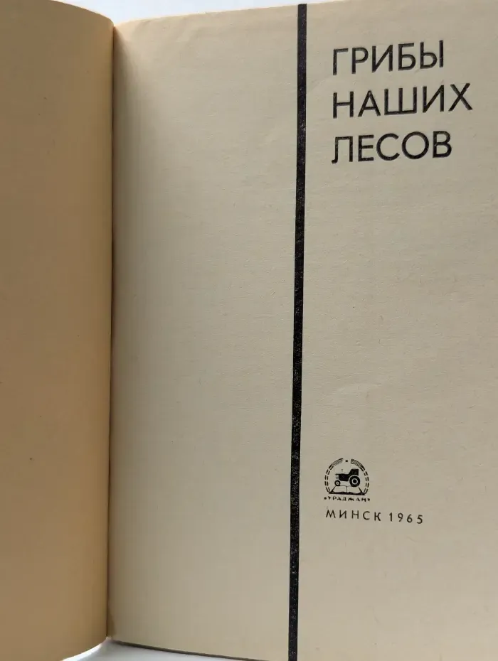 Грибы наших лесов