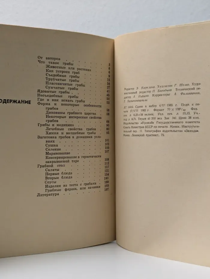 Грибы наших лесов