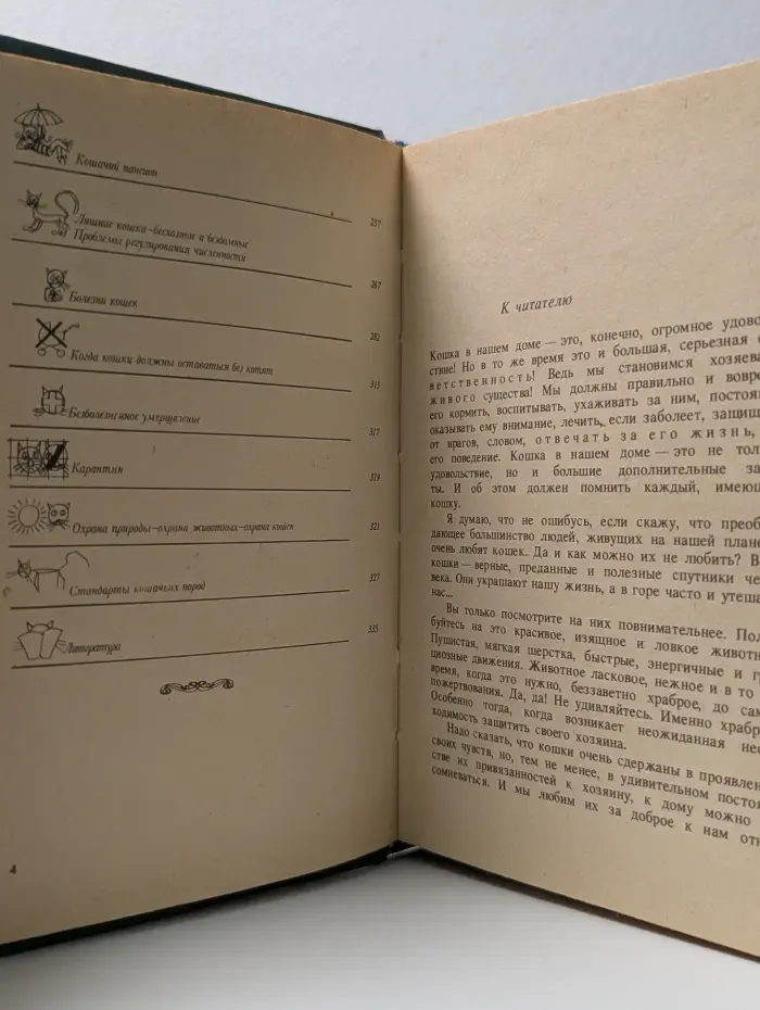 Советы любителям кошек