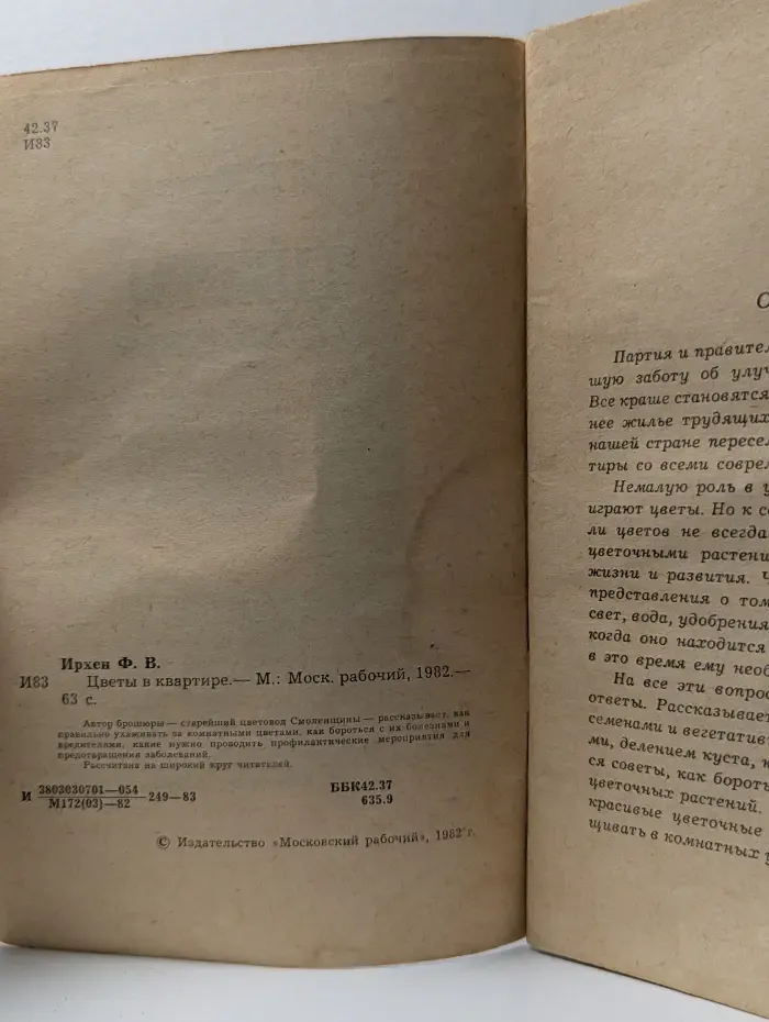 Цветы в квартире