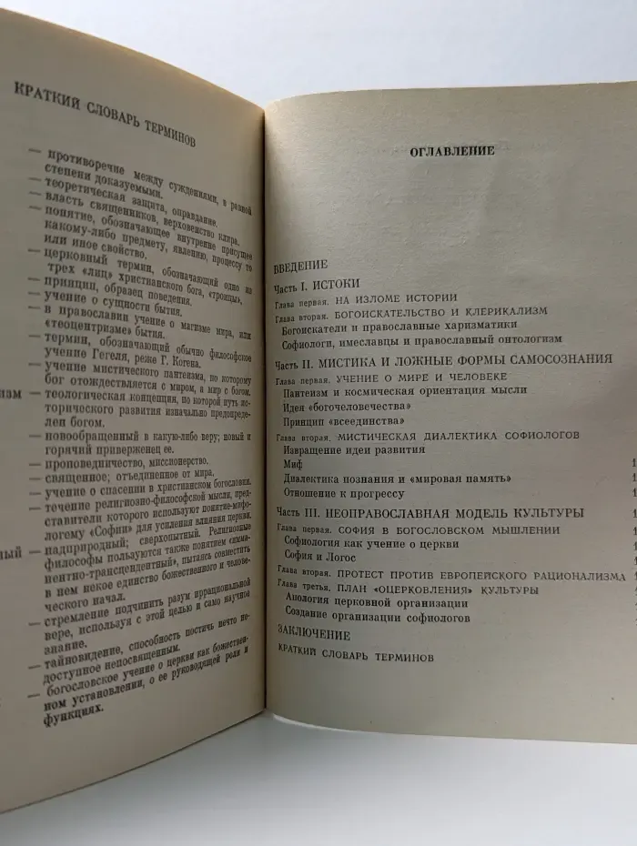 Философия богоискательства. Критика религиозно-философских идей софиологов
