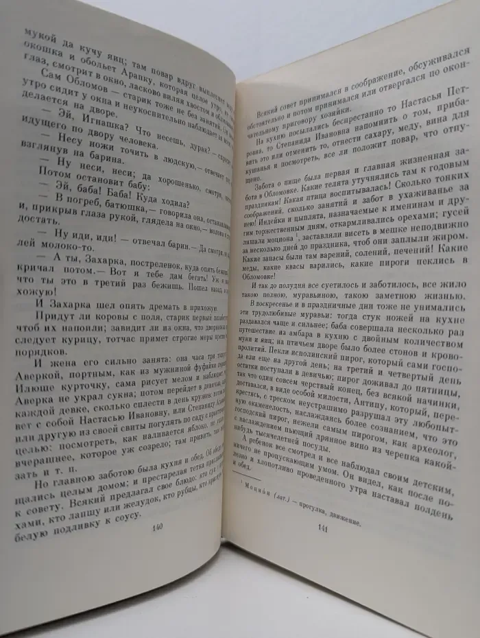 Школьная библиотека. Обломов