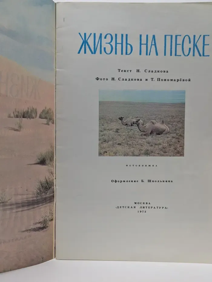 Жизнь на песке