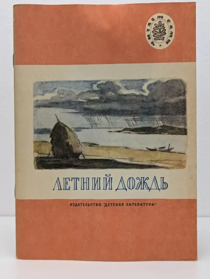 Школьная библиотека. Летний дождь