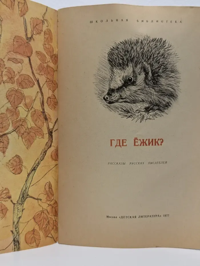Школьная библиотека. Читаем сами. Где ежик?