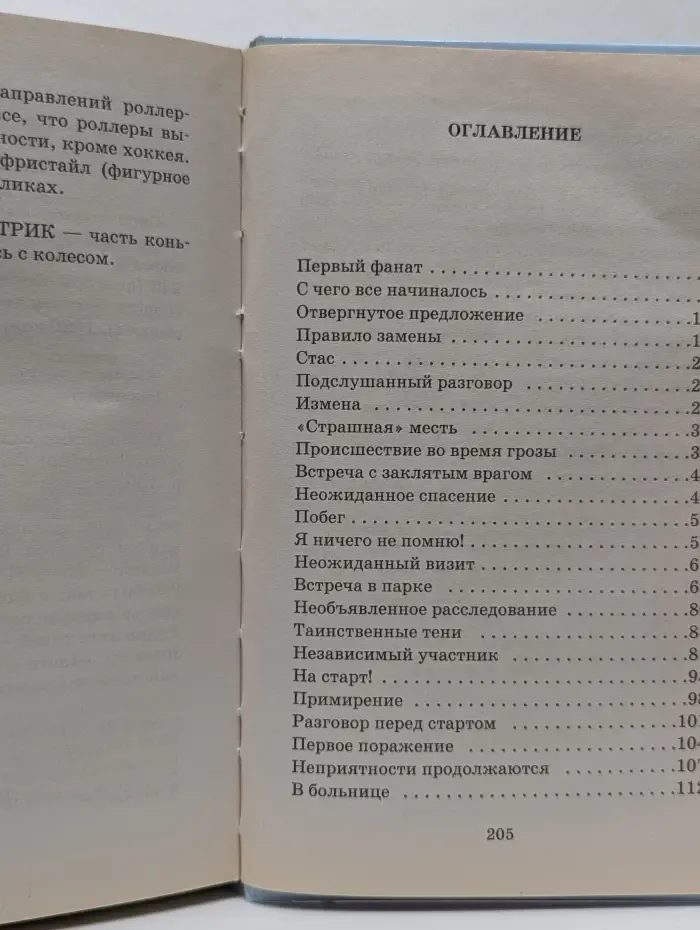Любимые книги девочек. Тайны королевы роллеров
