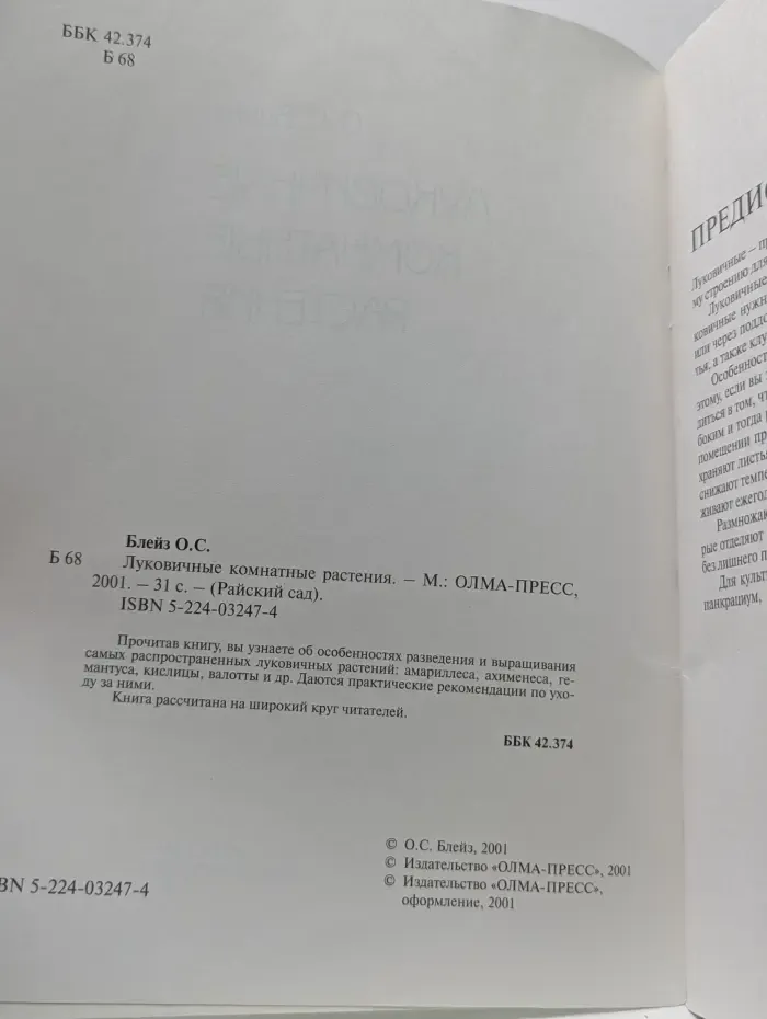 Райский сад. Луковичные комнатные растения