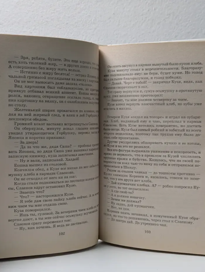 Любимое чтение. Республика ШКИД