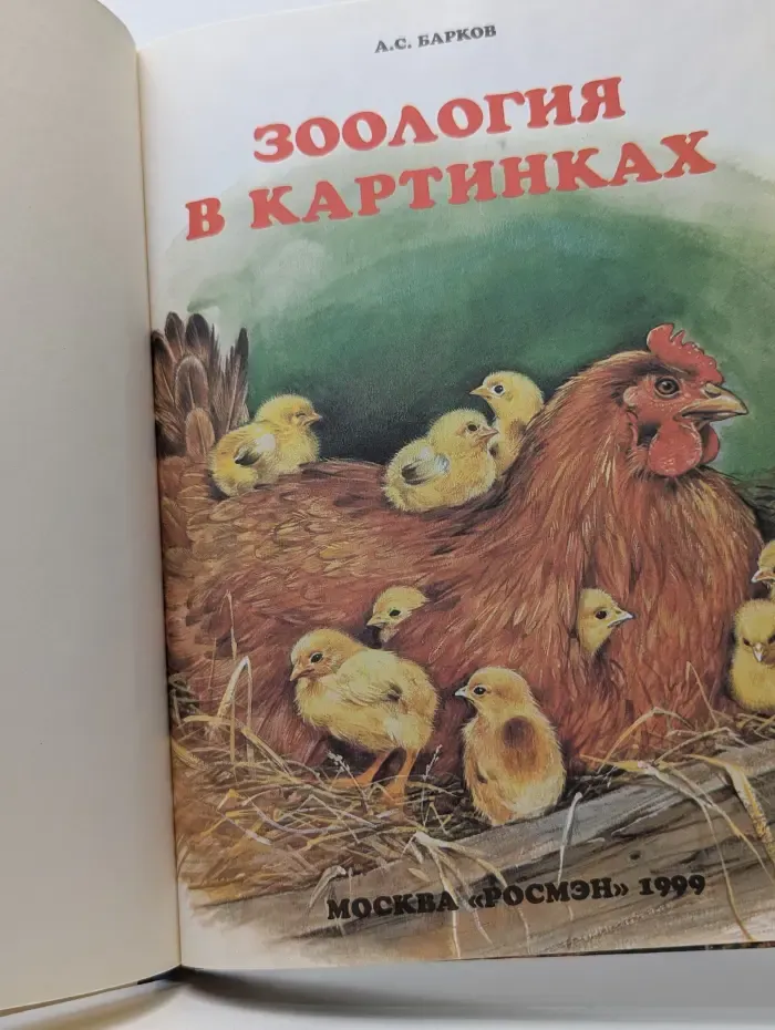 Зоология в картинках