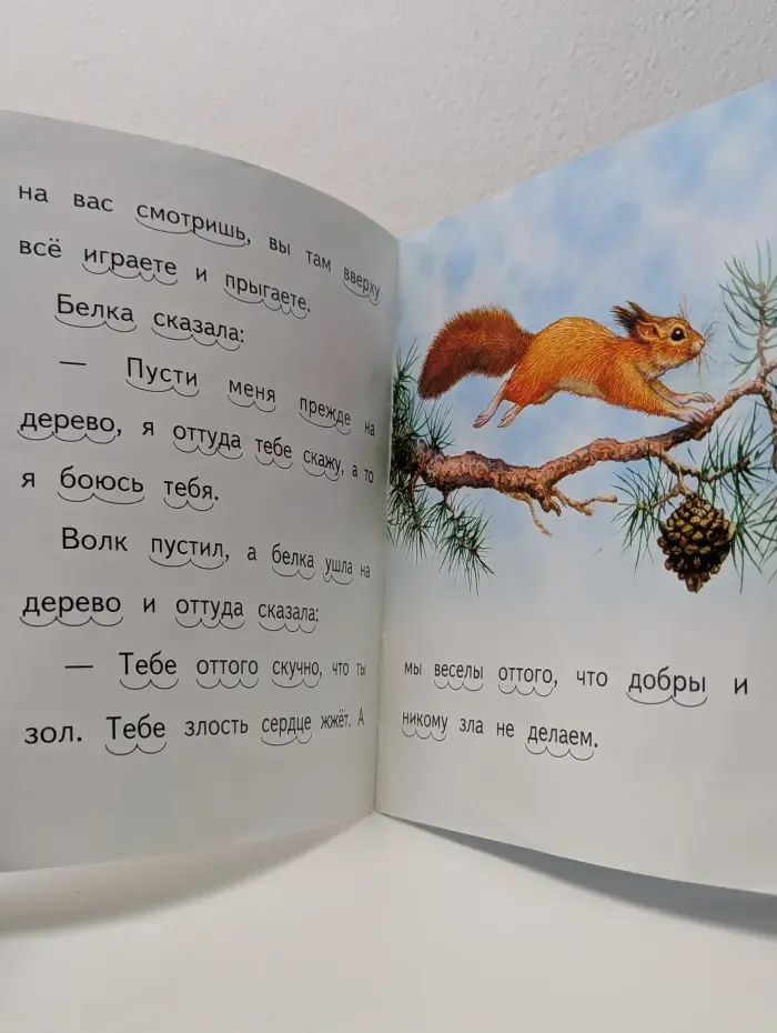 Белка и волк