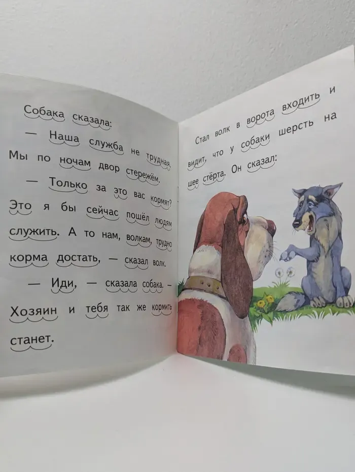 Читаем по слогам. Волк и собака