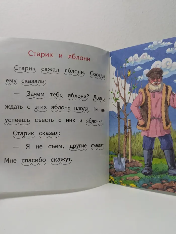 Читаем по слогам. Лев, медведь и лисица