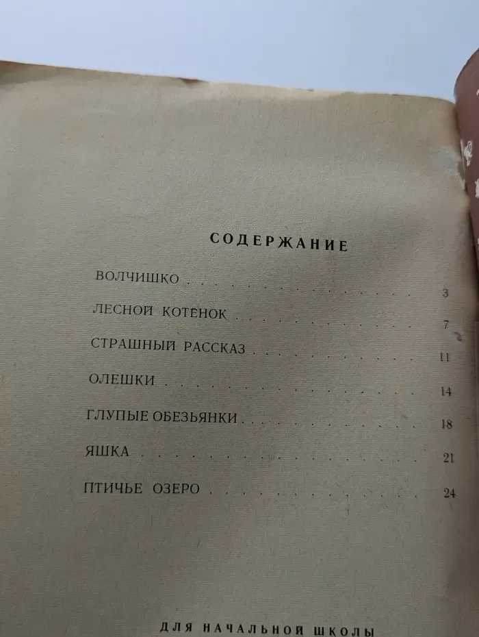 Школьная библиотека. Олешки