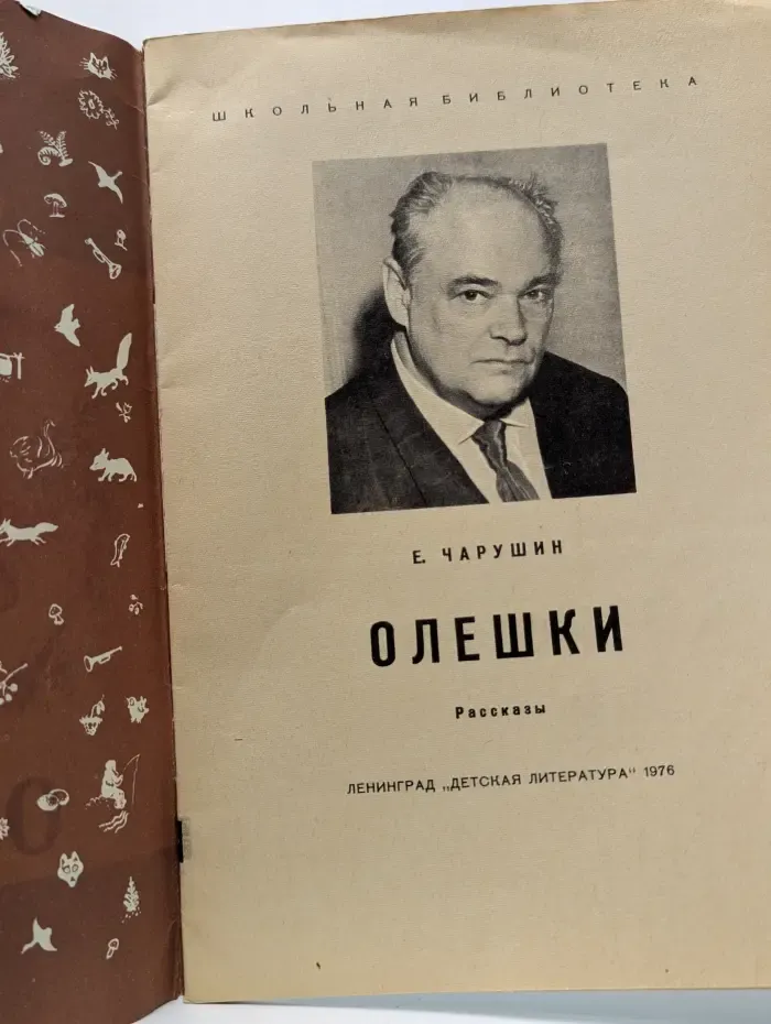 Школьная библиотека. Олешки